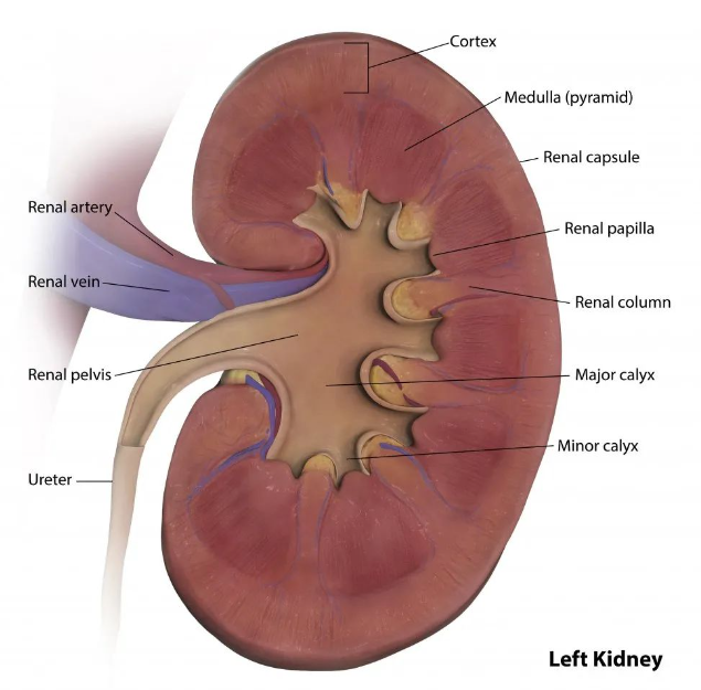 1689561658824666.png 2.png