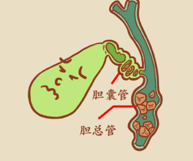 1700451522466896.jpg 4.jpg