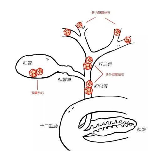 1700451537395574.jpg 5.jpg