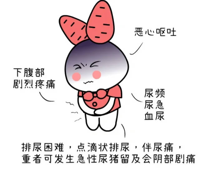 1701651325779013.jpg Snipaste_2023-12-04_08-52-51.jpg