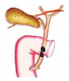 1751189564306190.jpg 7b2167669897e2a6ddba256a227f5278.jpg